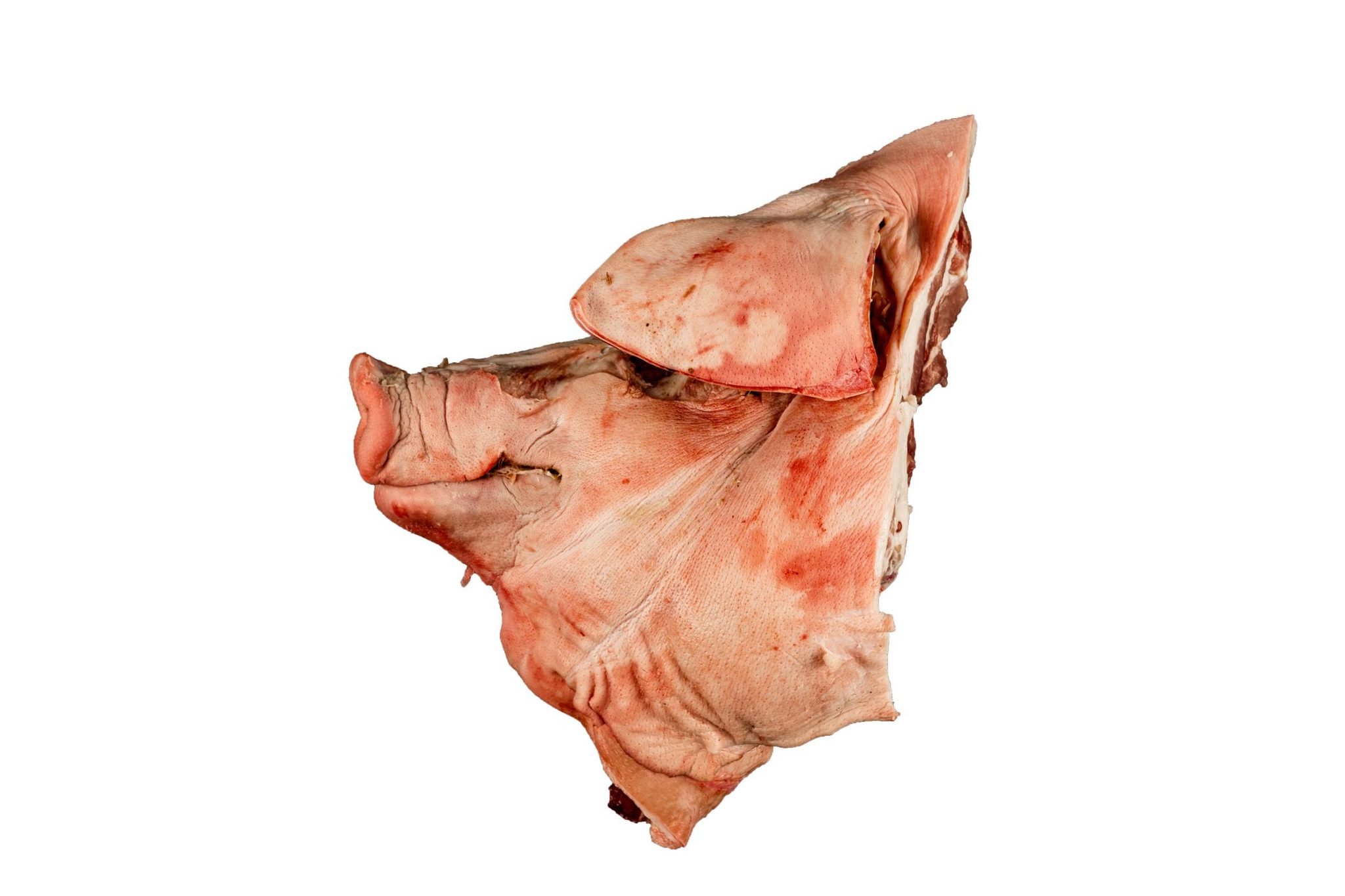 Cabeza de cerdo - Imagen 2
