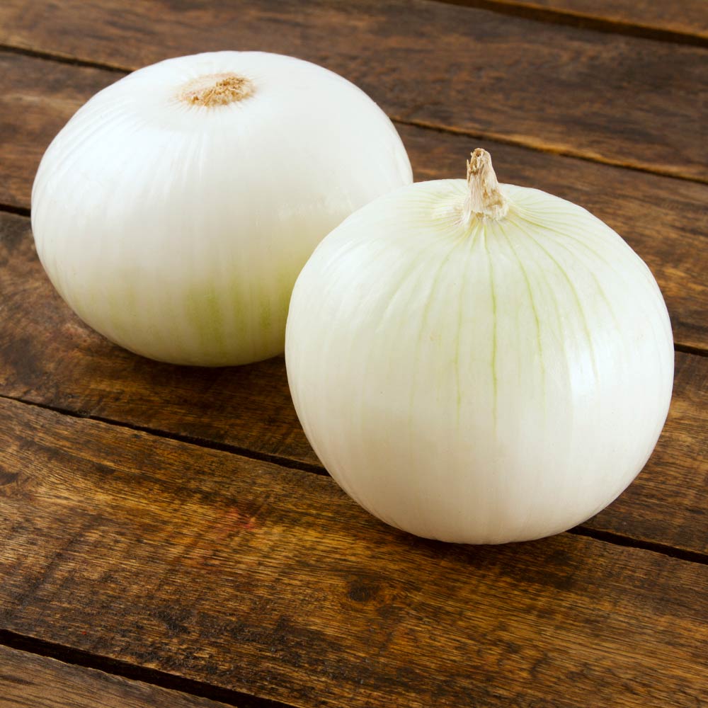 Cebolla blanca
