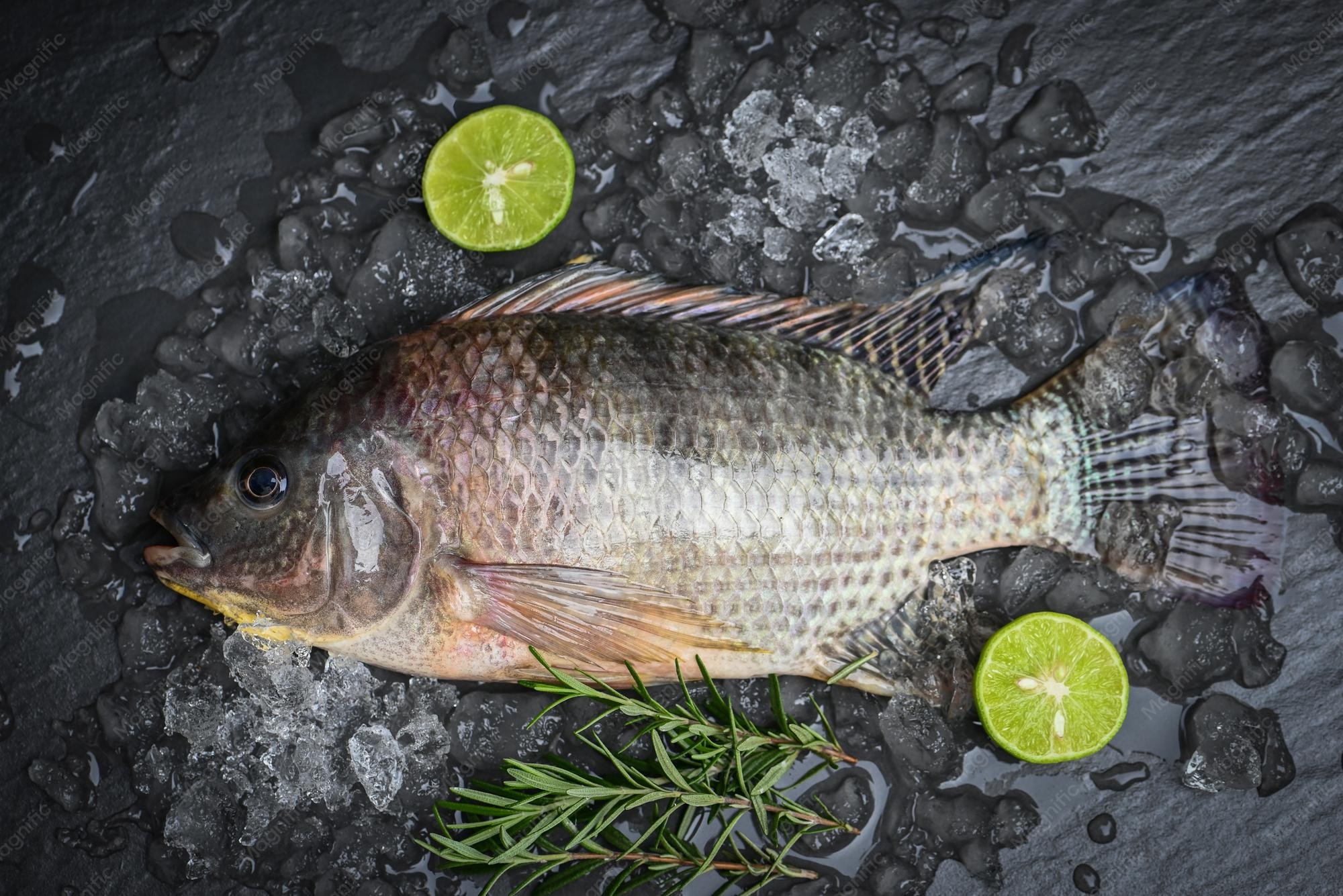 Pescado Tilapia kg