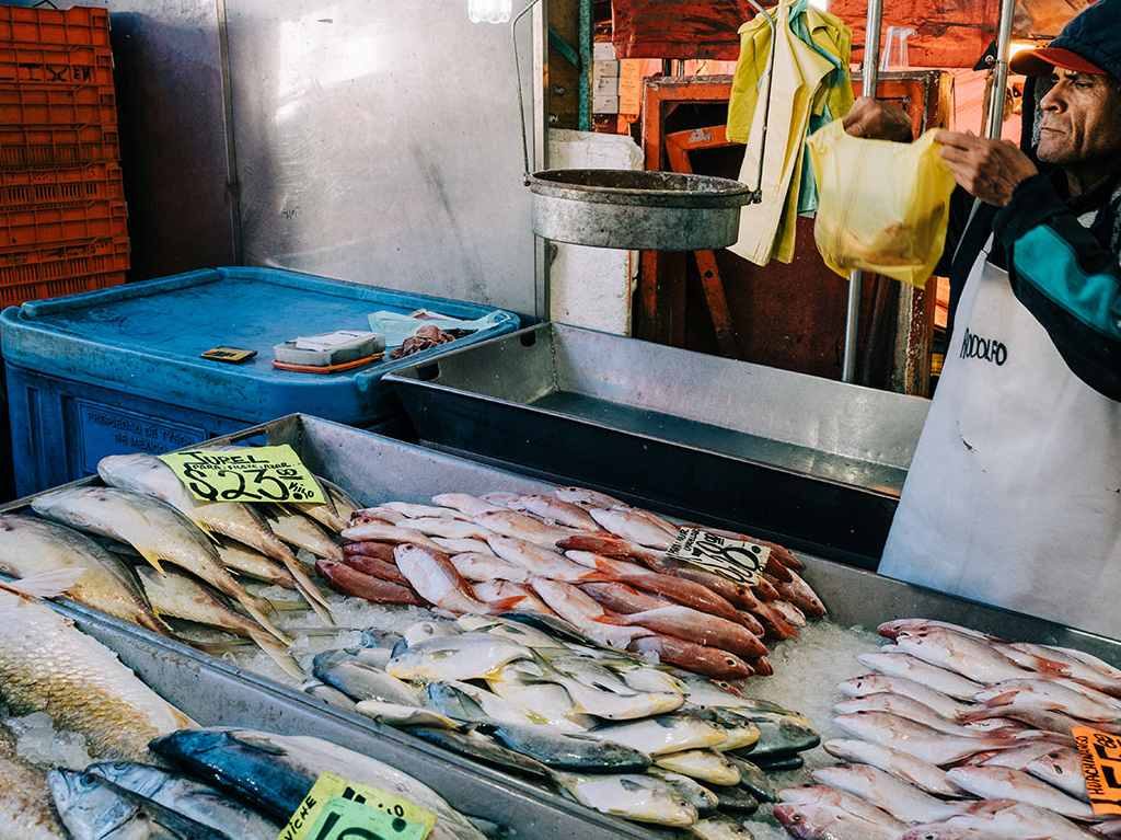 Pescado Tilapia - Imagen 2